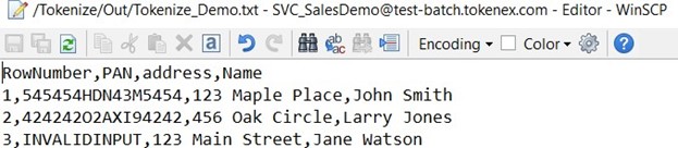 MFT File Example #4 — Example of Tokenized File